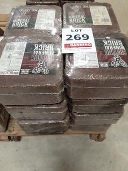 16 Big Tine Mineral Blocks