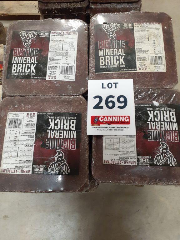 16 Big Tine Mineral Blocks