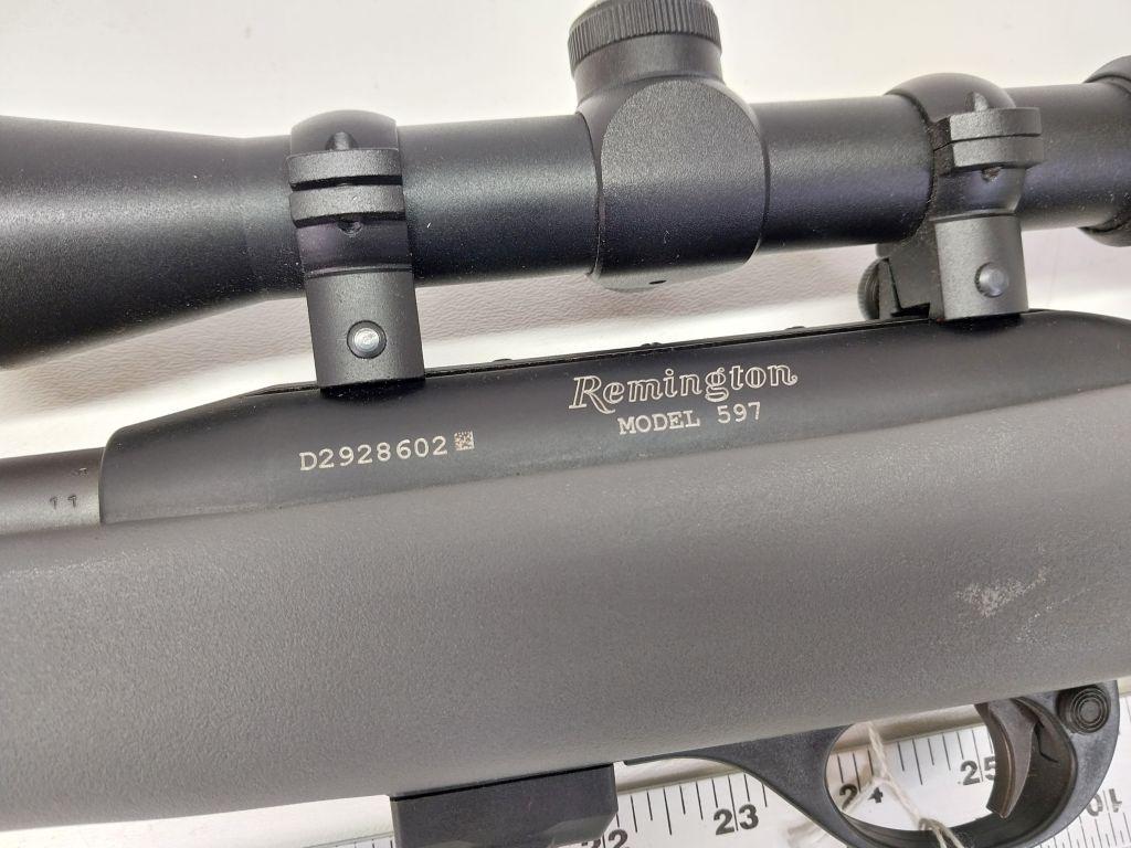 Remington Model 597 22LR