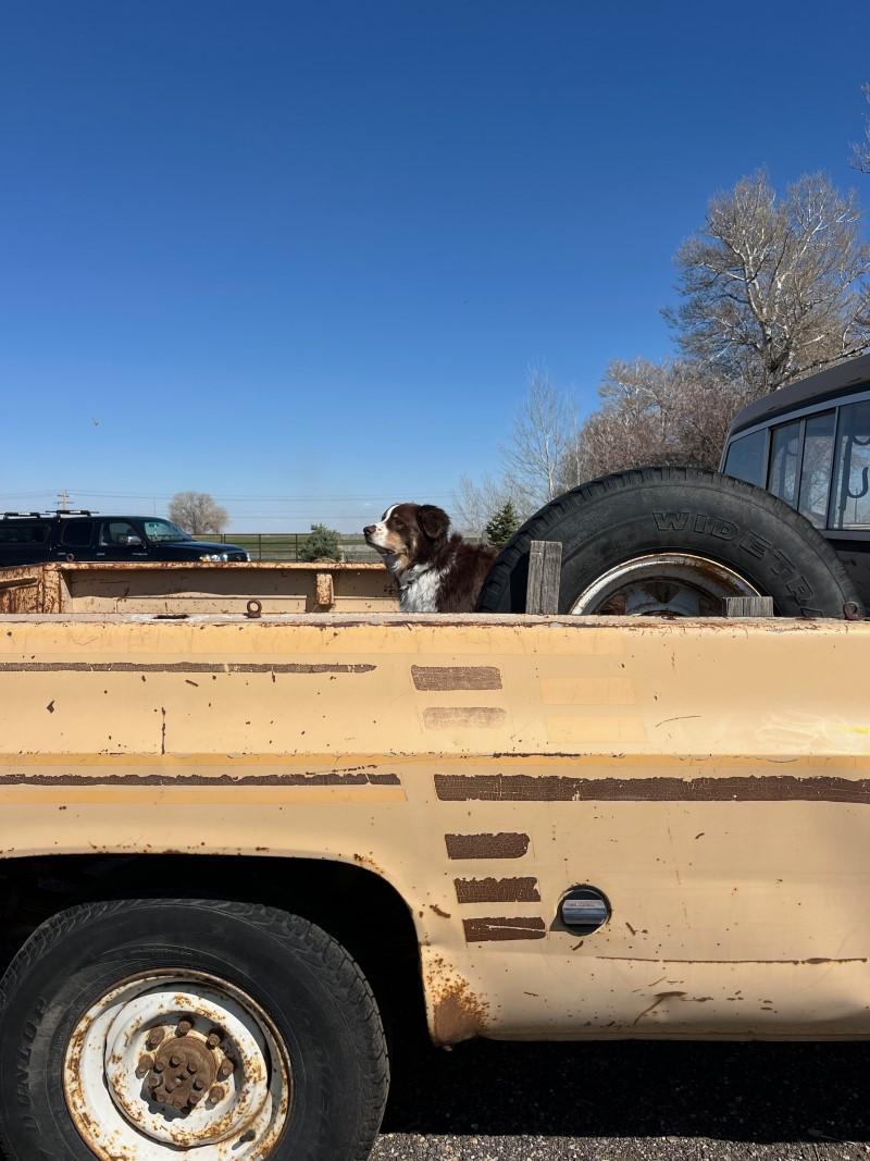 1978 Chevrolet C-20 Pickup