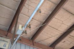 4 LINE LAZER LITE SYSTEM
