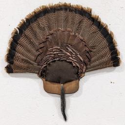 Tom Turkey Full Fan Mount w/ Beard on Plaque