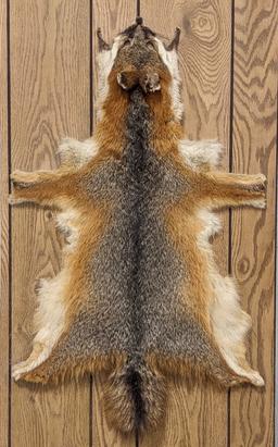 Tanned Red Fox Pelt on Board