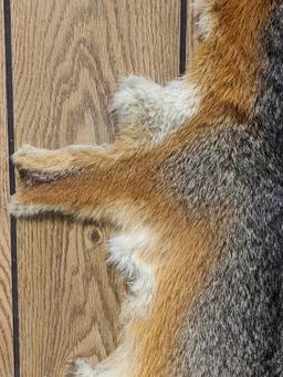 Tanned Red Fox Pelt on Board