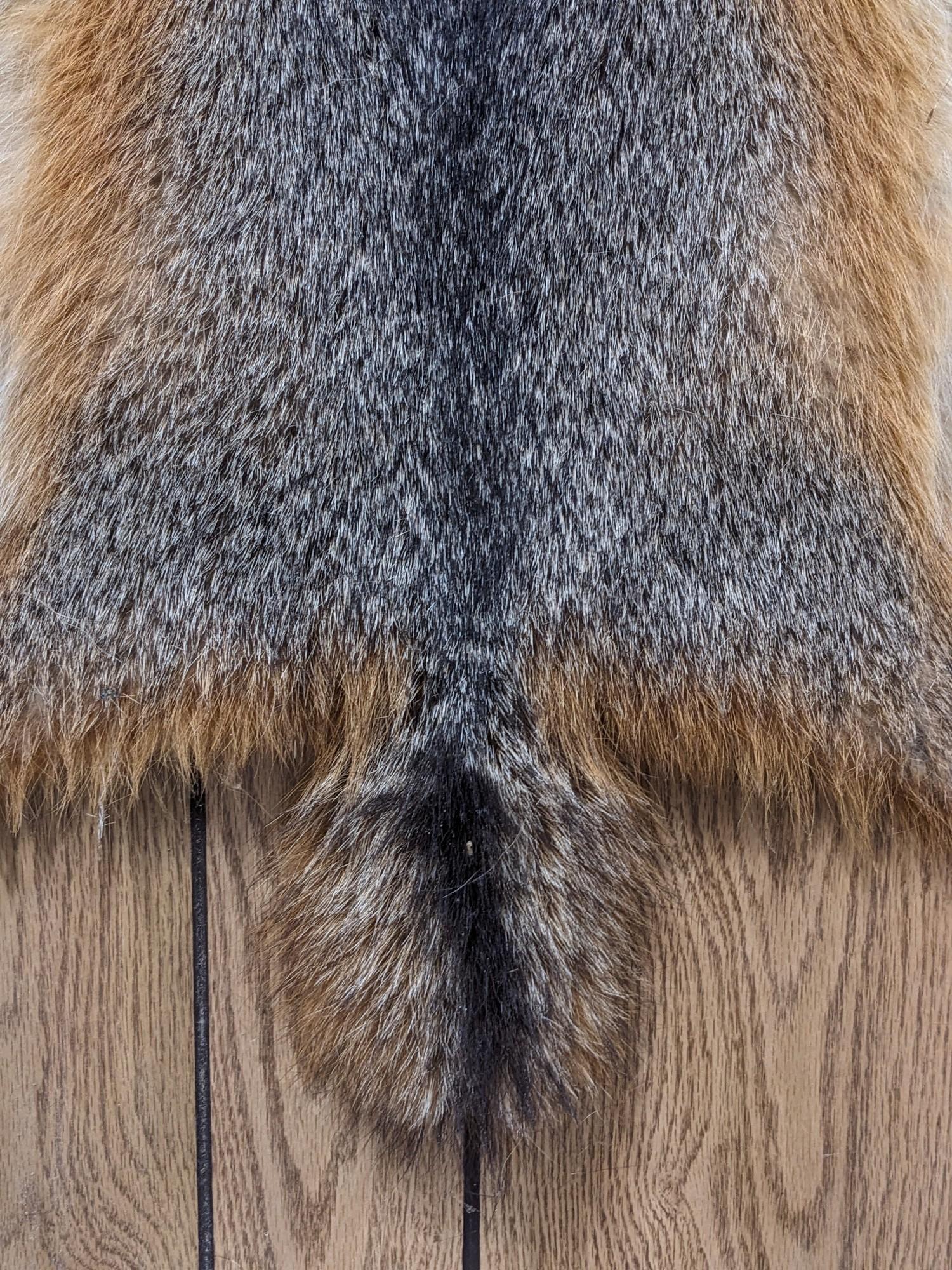 Tanned Red Fox Pelt on Board