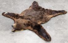Taxidermy Grizzly Bear Rug with Real Claws & Affidavit