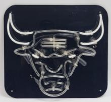 Chicago Bulls Logo Two-Color Neon Sign