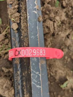 KC Pallet Forks 50" L