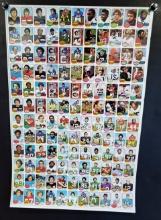 1976 Topps Football Trading Cards Uncut Sheet Featuring 132 Cards Traded Cards