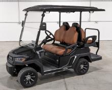 Pure Electric Golf Cart