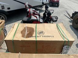 IR 3-Wheeled Electric Cart
