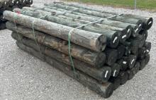 6" x 7' Treated Posts, 28 Posts