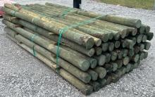 3-1/2" x 8' Treated Posts, 55 Posts