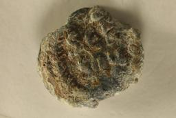 ROMAN ANCIENT COIN WITH A THICK PLANCHET