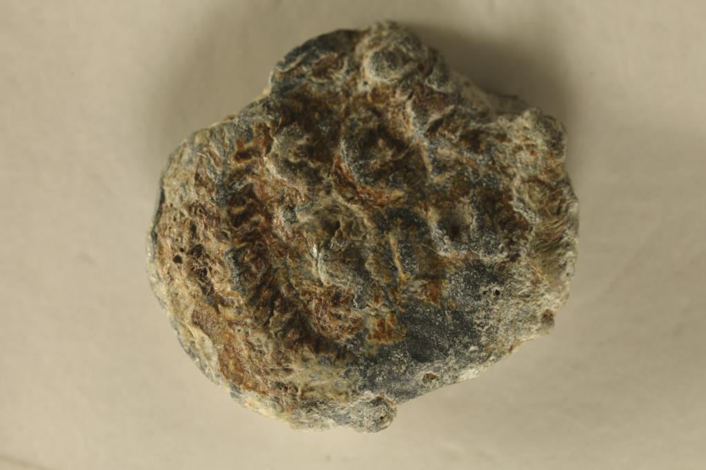 ROMAN ANCIENT COIN WITH A THICK PLANCHET