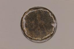 337-350 A.D. CONSTANS ANCIENT COIN ROMAN DEITY