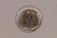 337-350 A.D. CONSTANS ANCIENT COIN
