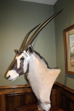 Oryx, Pedestal Mount
