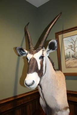 Oryx, Pedestal Mount