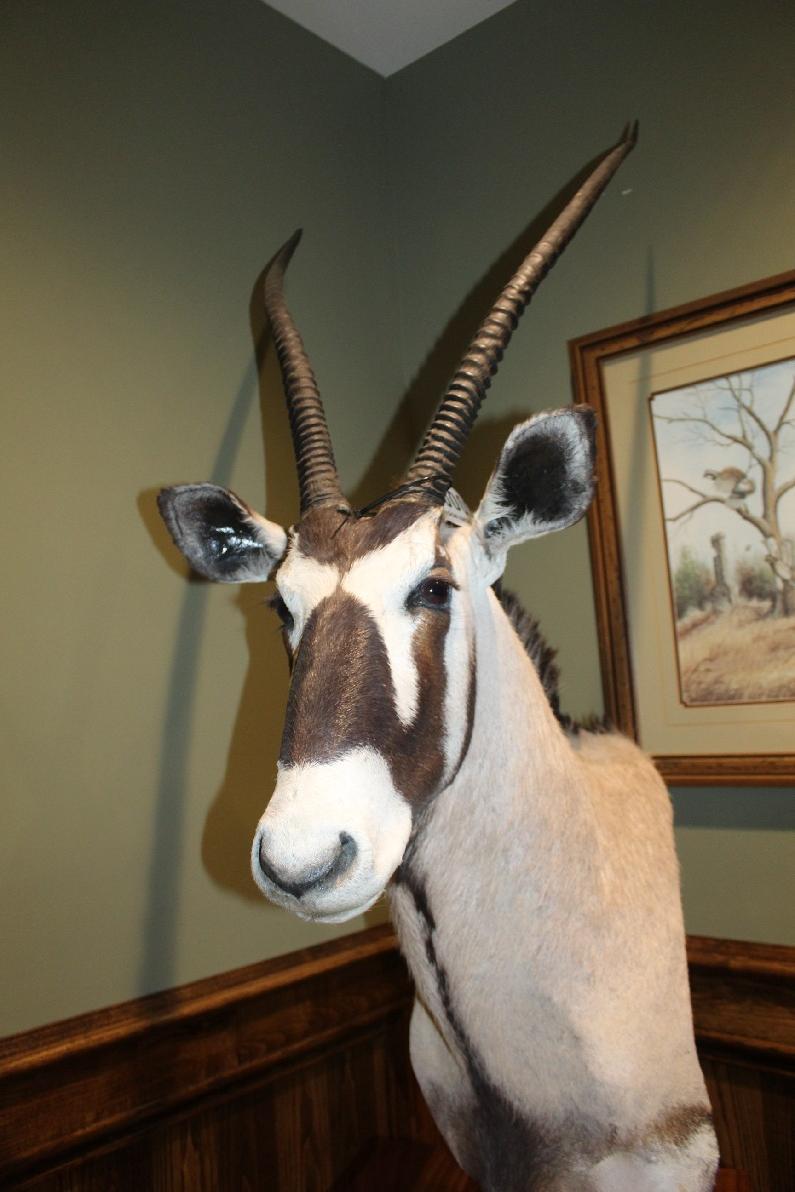 Oryx, Pedestal Mount