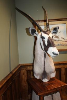Oryx, Pedestal Mount