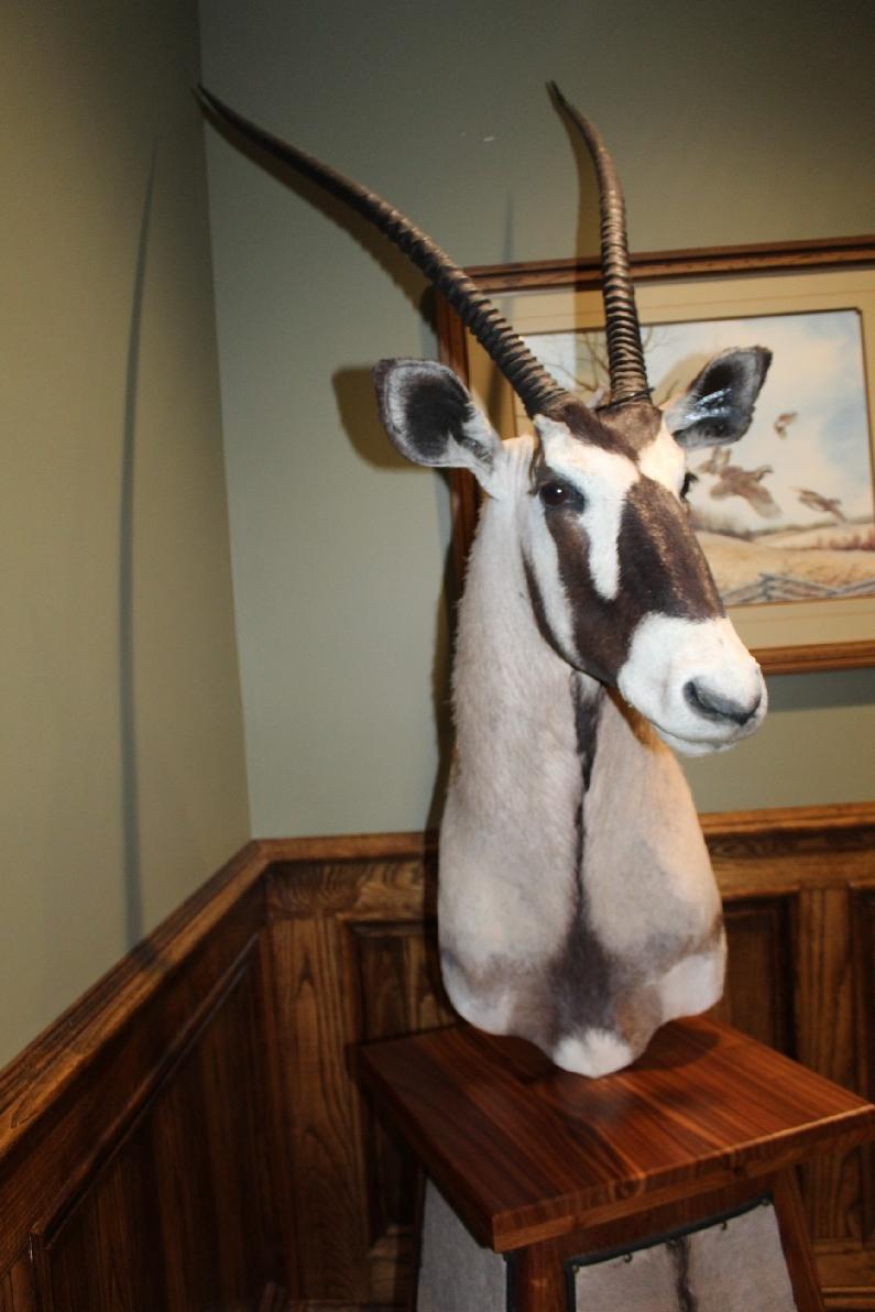 Oryx, Pedestal Mount