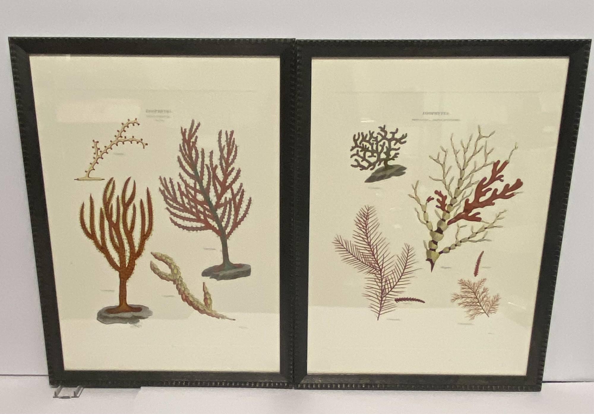 PAIR OF PRINTS OF CORAL / SEA LIFE