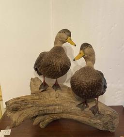 AMAZING DIORAMA OF A PAIR OF FEMALE DUCKS