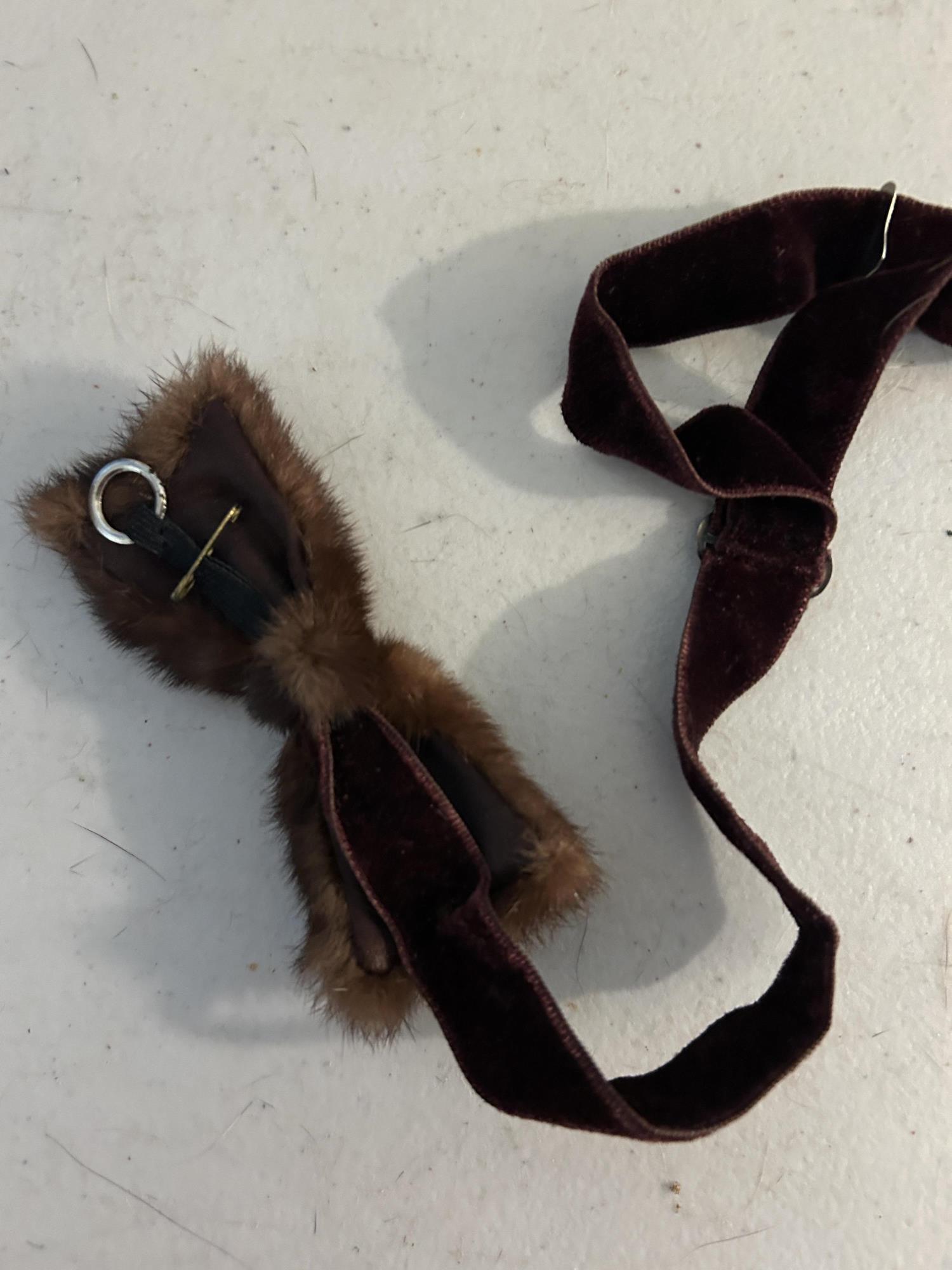 FIVE FUR PIECES - HATS AND MORE