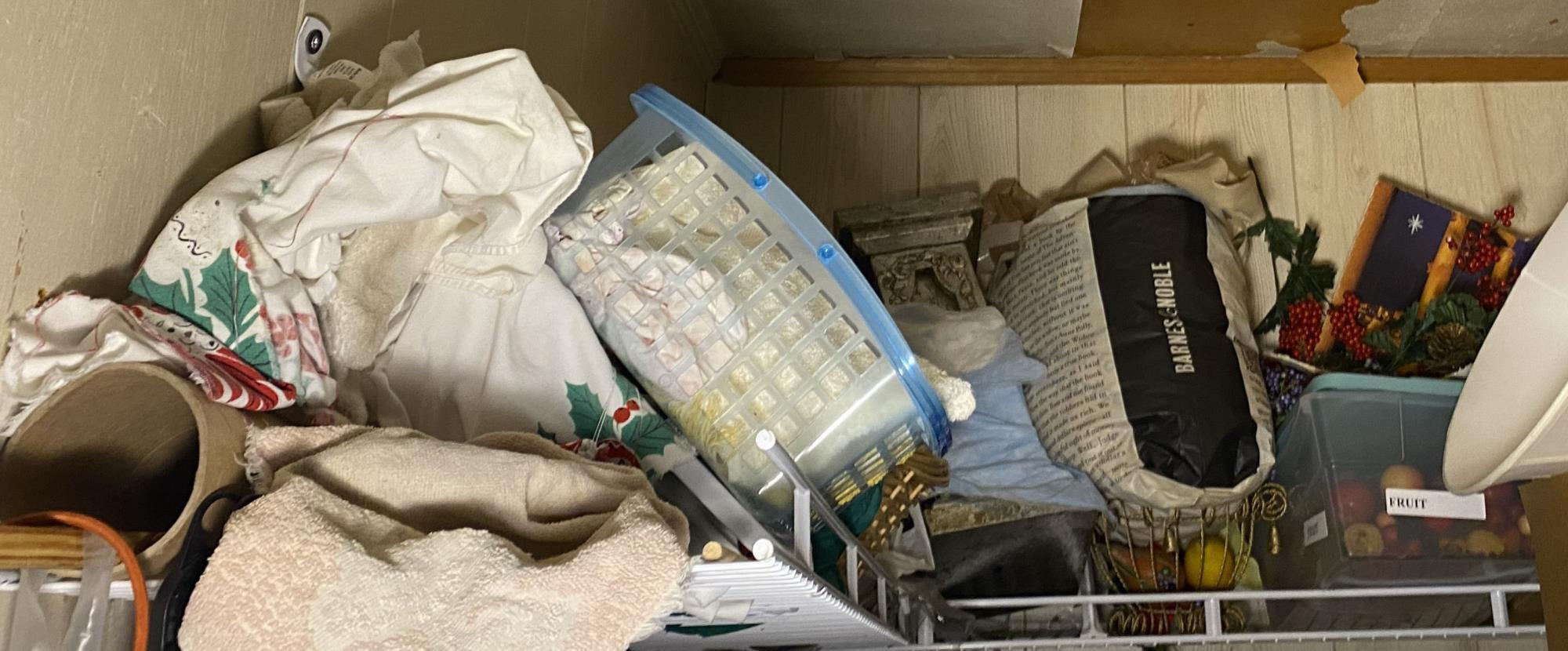 ITEMS LOCATED ON THE WHITE WIRE SHELVES