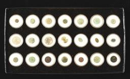 Large Lot Of Dug Buttons, Coins & Relics From Important 18th Century Forts & Sites.