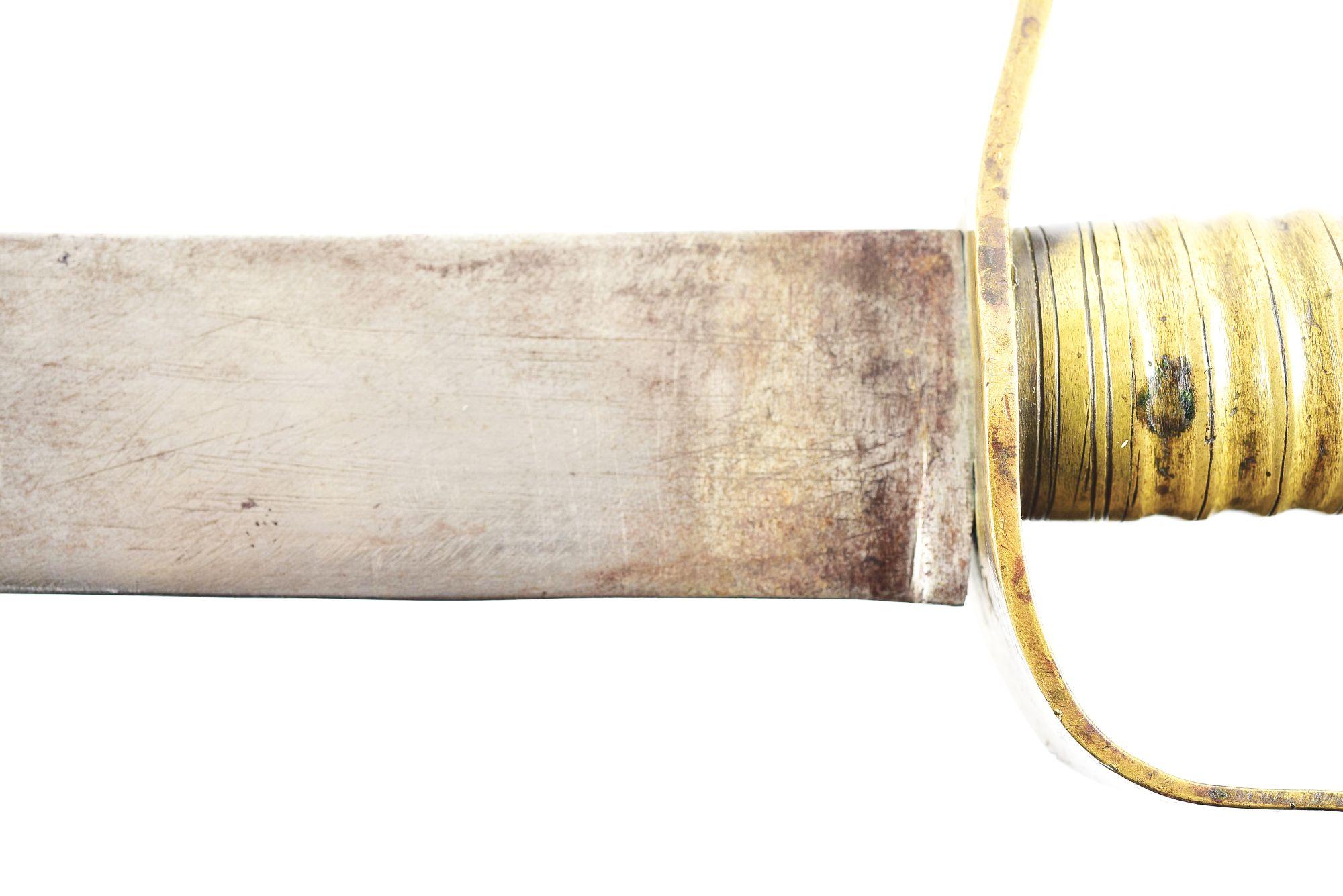 AMERICAN RE-HILTED LION POMMEL SABER WITH SCABBARD.