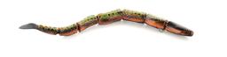BUD STEWART SNAKE