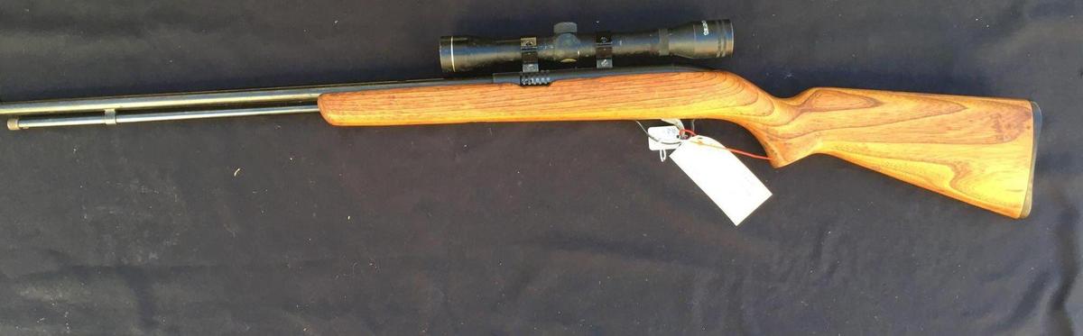Sears & Roebuck Model 25 .22 caliber Semi Auto