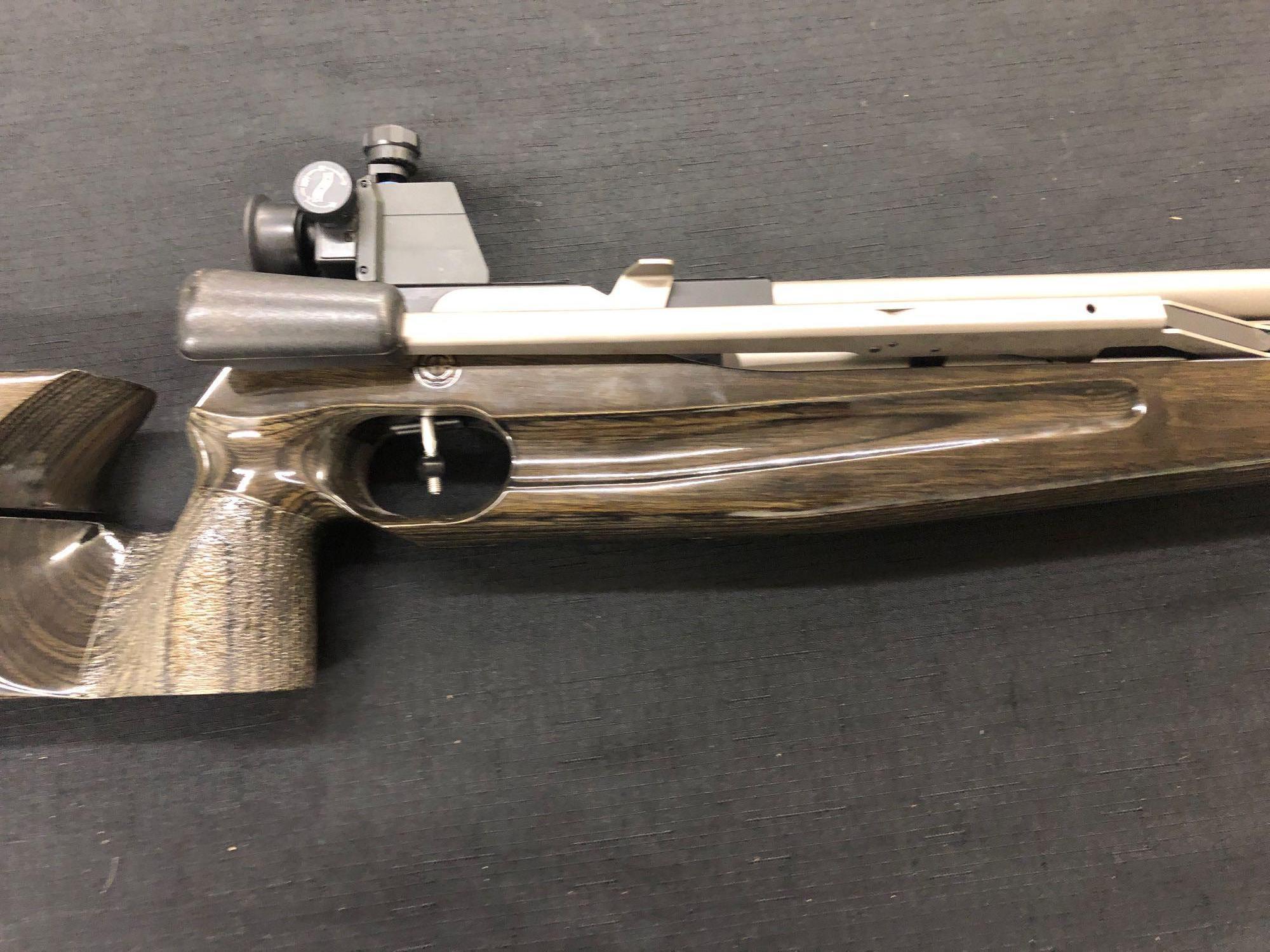 Walther LG210 Silver 4.5cal target sights