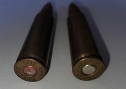 300 Savage Ammo Rounds