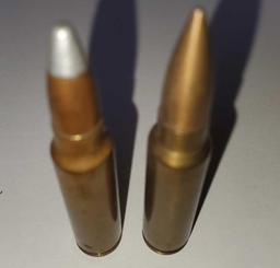 300 Savage Ammo Rounds