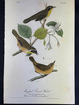 Audubon First Edition Octavo print Plate No. 102 Maryland Ground-Warbler