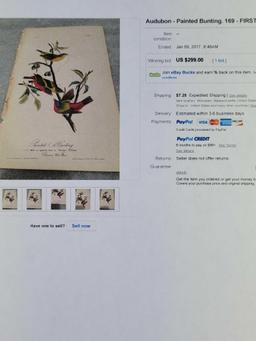 Audubon First Edition Octavo print Plate No. 169 Painted Bunting