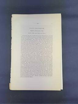 Audubon First Edition Octavo Print Plate No. 199 Common Pine-finch