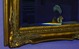 Beautiful Bevel Mirror 44" x 33"