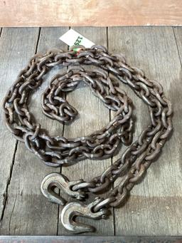 13ft. Chain and hooks