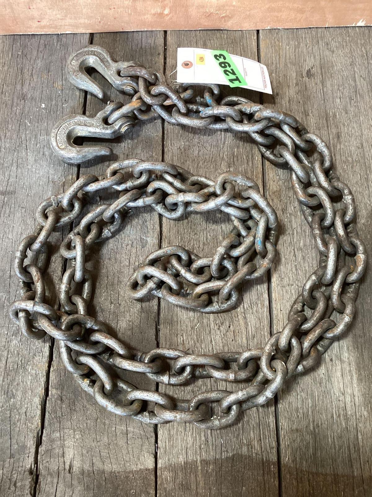 10ft. Chain and hooks