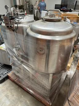 1bbl SS Brewtech Fermenters 2x Quantity