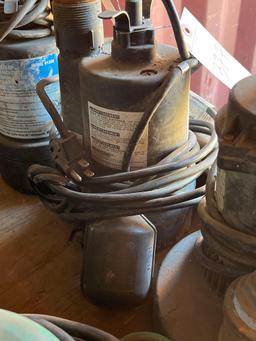 (3) Submersible Pumps