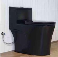 1-Piece 0.8/1.28 GPF Dual Flush Elongated Toilet in Matte Black with Soft-Close Seat Included
