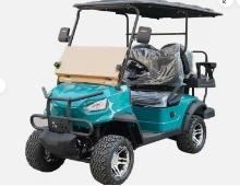 RC-G4.0 Electric Golf Cart (Teal)