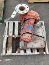 Berkley Pump