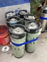 (6) 15Gal. mini kegs