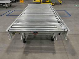 Roach Conveyors 1096MC Conveyor